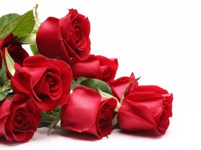 Holidays___International_Womens_Day_Red_roses_for_his_girlfriend_on_March_8_097076_29.jpg